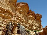 TAMERZA 9